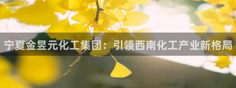 球盟会官方下载