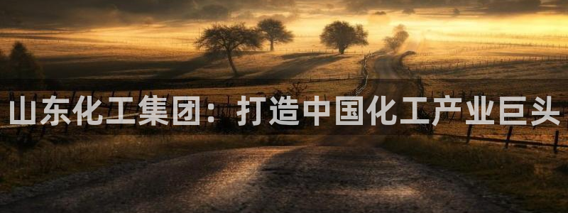 球盟会官方网入口