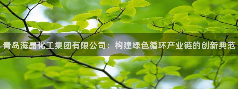 球盟会论坛：青岛海晶化工集团有限公司：构建绿色循环产业链的创