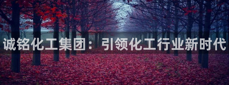 球盟会官网