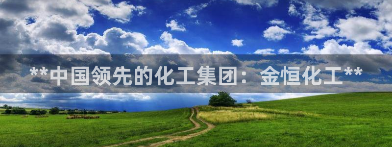 球盟会官方：**中国领先的化工集团：金恒化工**