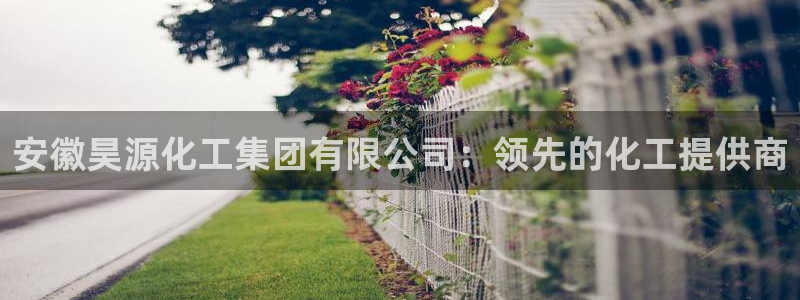 球盟会app最新地址在哪里：安徽昊源化工集团有限公司：领先的