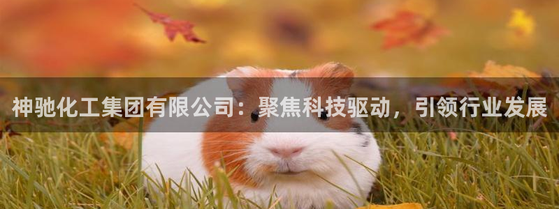 球盟会qm：神驰化工集团有限公司：聚焦科技驱动，引领行业发展