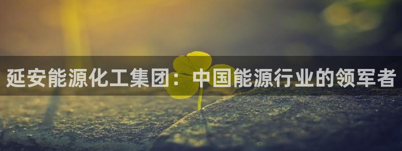 球盟会吧：延安能源化工集团：中国能源行业的领军者