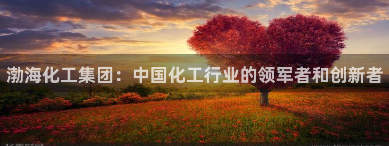 球盟会体育平台：渤海化工集团：中国化工行业的领军者和创新者