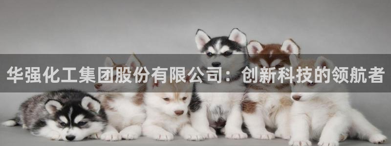 球盟会出款黑了：华强化工集团股份有限公司：创新科技的领航者