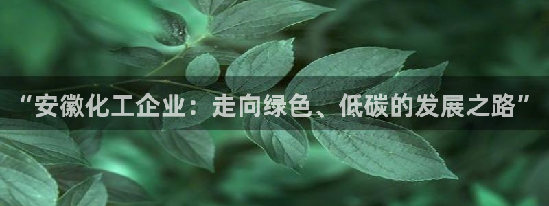 球盟会平台会黑单吗：“安徽化工企业：走向绿色、低碳的发展之路