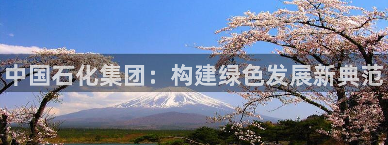 球盟会有没有黑单的活动：中国石化集团：构建绿色发展新典范