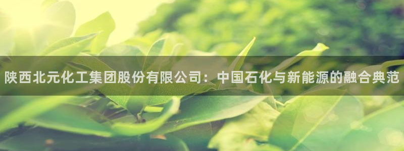 球盟会登录入口：陕西北元化工集团股份有限公司：中国石化与新能