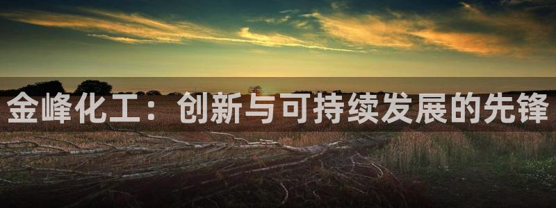 球盟会有没有黑单的人：金峰化工：创新与可持续发展的先锋