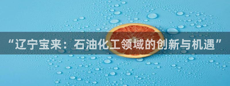 球盟会游戏几点玩合适：“辽宁宝来：石油化工领域的创新与机遇”
