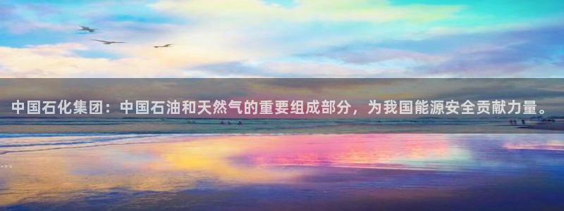 球盟会能退钱吗知乎：中国石化集团：中国石油和天然气的重要组成