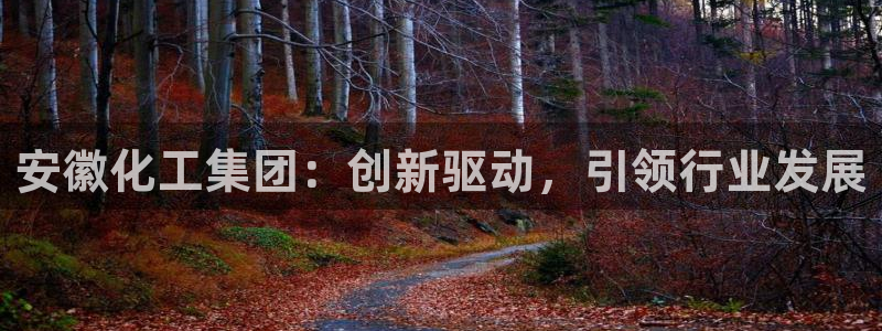 球盟会能退钱吗现在：安徽化工集团：创新驱动，引领行业发展