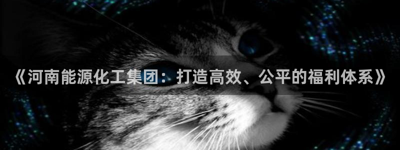 球盟会在线登入：《河南能源化工集团：打造