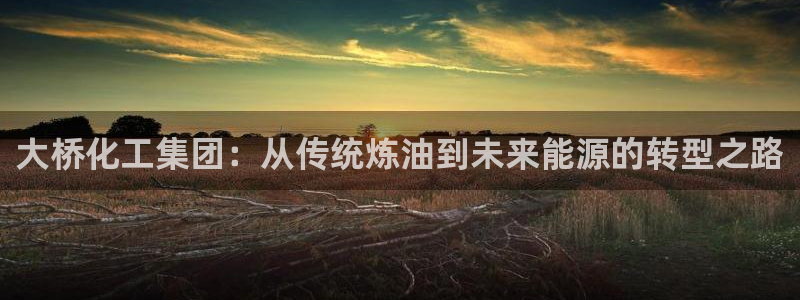 球盟会app最新地址在哪里：大桥化工集团：从传统炼油到未来能