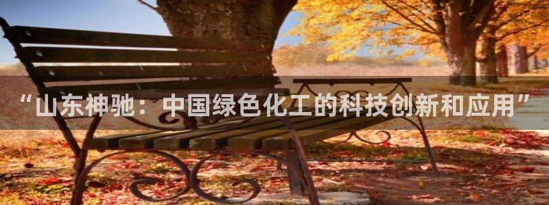 球盟会官网：“山东神驰：中国绿色化工的科技创新和应用”