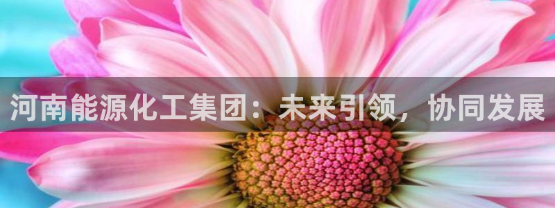 球盟会能提现吗：河南能源化工集团：未来引领，协同发展