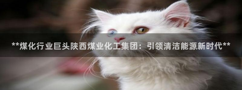 球盟会登陆：**煤化行业巨头陕西煤业化工