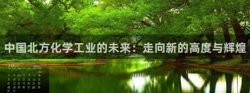 球盟会登陆中心：中国北方化学工业的未来：走向新的高度与辉煌