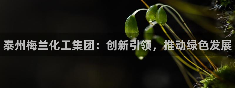 球盟会黑款吗知乎文章：泰州梅兰化工集团：创新引领，推动绿色发