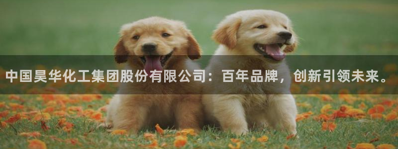 球盟会官方登录平台：中国昊华化工集团股份有限公司：百年品牌，