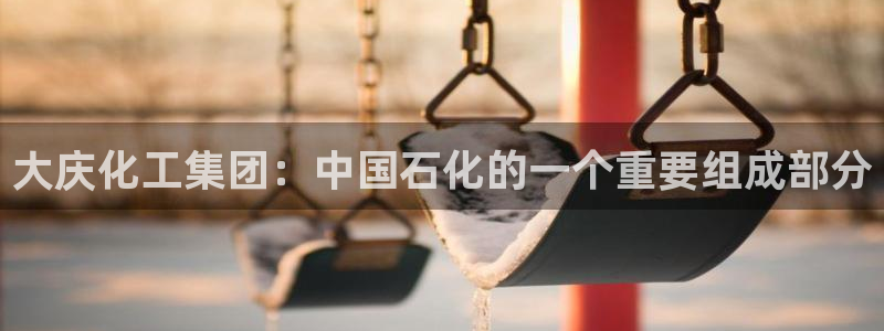 球盟会封号：大庆化工集团：中国石化的一个重要组成部分