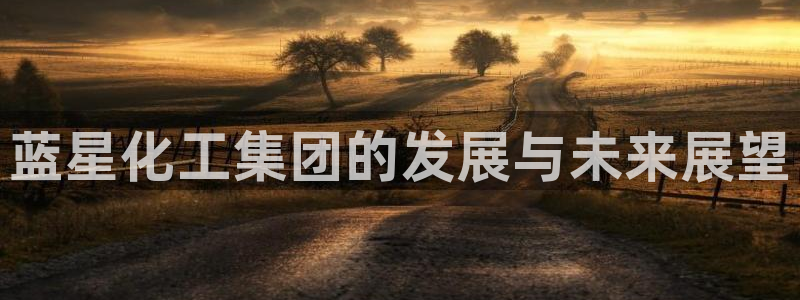球盟会黑：蓝星化工集团的发展与未来展望