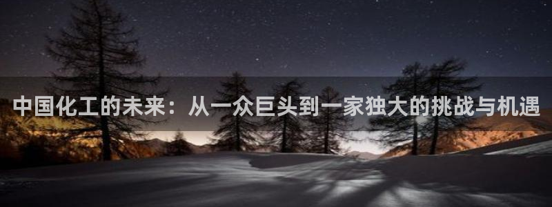 球盟会登录入口：中国化工的未来：从一众巨头到一家独大的挑战与