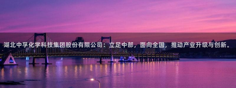 球盟会网页登录入口：湖北中孚化学科技集团股份有限公司：立足中
