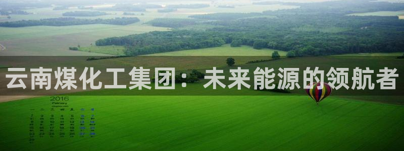 球盟会地址：云南煤化工集团：未来能源的领航者