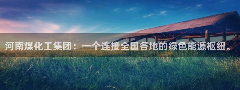 球盟会和中欧会的区别：河南煤化工集团：一个连接全国各地的绿色