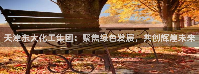 球盟会qm8597：天津东大化工集团：聚焦绿色发展，共创辉煌