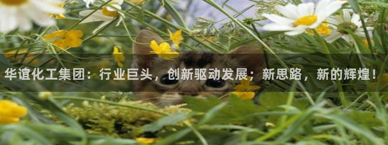 球盟会官方入口：华谊化工集团：行业巨头，创新驱动发展；新思路