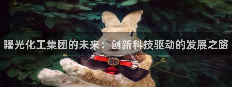 球盟会头号玩家：曙光化工集团的未来：创新科技驱动的发展之路