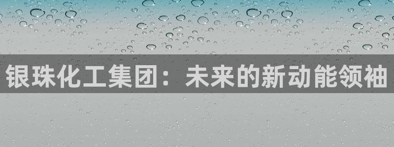 球盟会和中欧：银珠化工集团：未来的新动能领袖