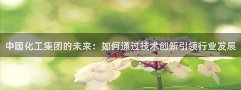 球盟会app最新地址在哪找：中国化工集团的未来：如何通过技术