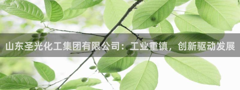 球盟会：山东圣光化工集团有限公司：工业重镇，创新驱动发展