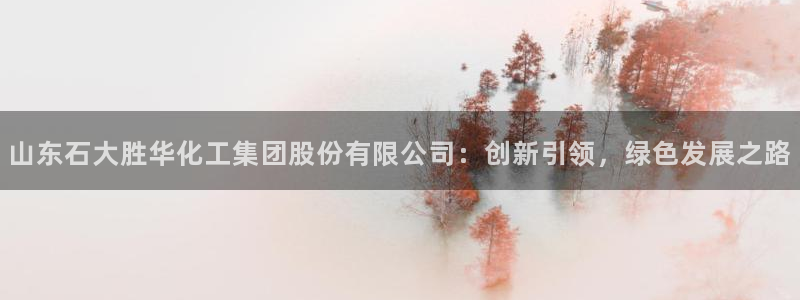 球盟会app最新地址下载安装：山东石大胜华化工集团股份有限公