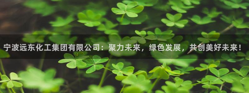球盟会官方入口：宁波远东化工集团有限公司：聚力未来，绿色发展