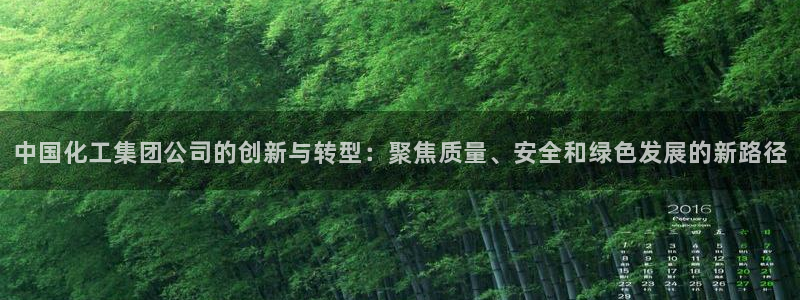 球盟会官网网页版：中国化工集团公司的创新与转型：聚焦质量、安