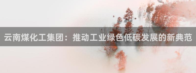 球盟会app网址多少号：云南煤化工集团：推动工业绿色低碳发展