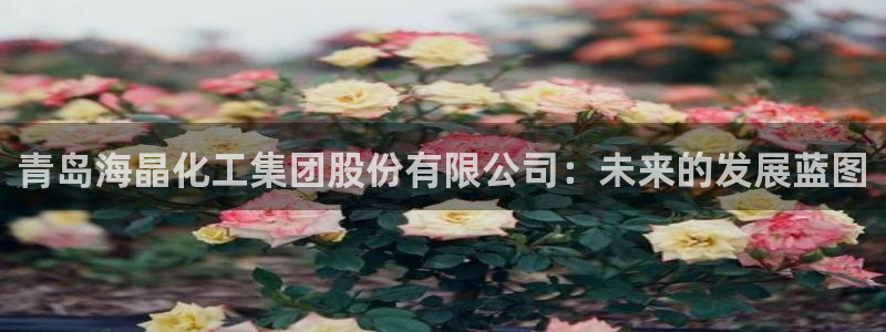 球盟会app网址多少：青岛海晶化工集团股份有限公司：未来的发
