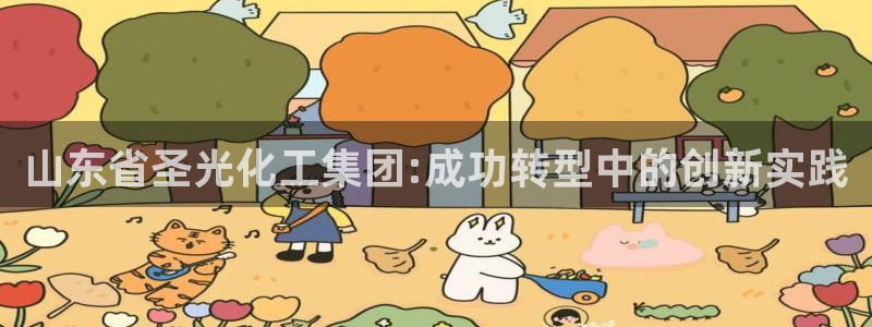 球盟会用的客服聊天是哪个软件：山东省圣光化工集团:成功转型中