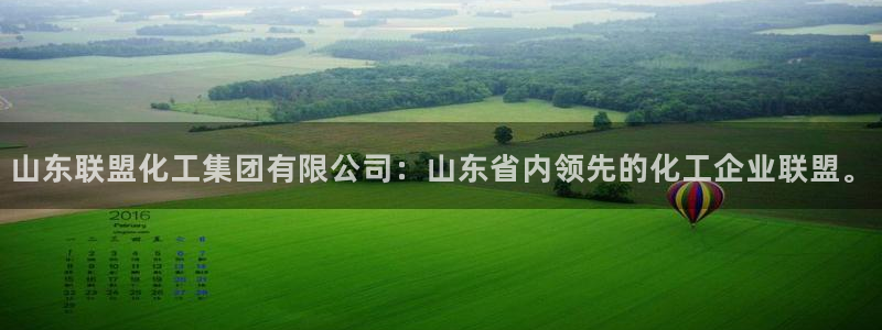球盟会体育app官方网站：山东联盟化工集团有限公司：山东省内