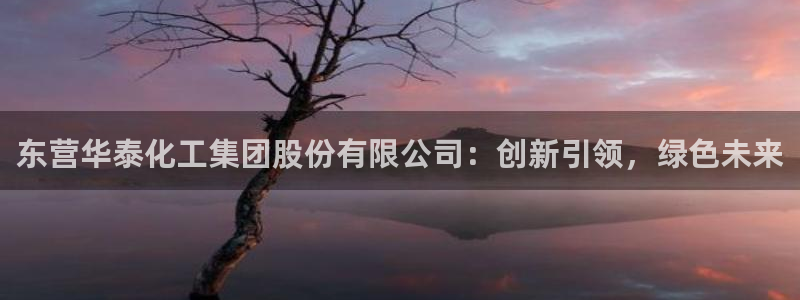 球盟会有限公司怎么样：东营华泰化工集团股份有限公司：创新引领