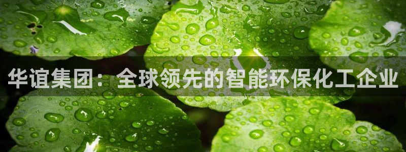 球盟会APP官网：华谊集团：全球领先的智能环保化工企业