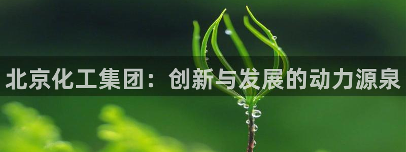 球盟会平台会黑单吗：北京化工集团：创新与发展的动力源泉