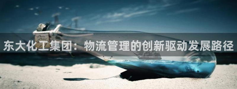 球盟会登录平台入口：东大化工集团：物流管理的创新驱动发展路径