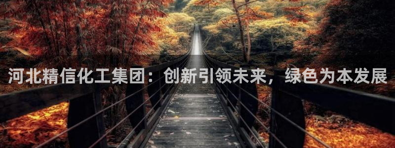 球盟会能提现吗：河北精信化工集团：创新引领未来，绿色为本发展