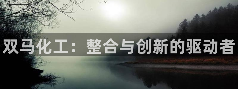 球盟会体育app官方网站：双马化工：整合与创新的驱动者